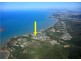 17 Trivia Street, Palm Cove QLD 4879