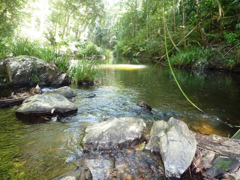 11 Butler Drive, Kuranda QLD 4881