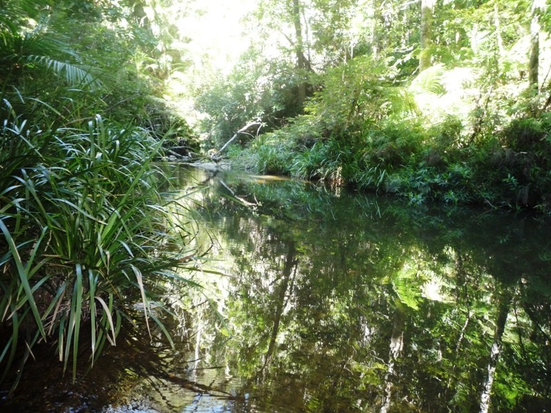 11 Butler Drive, Kuranda QLD 4881