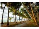 Palm Cove QLD 4879