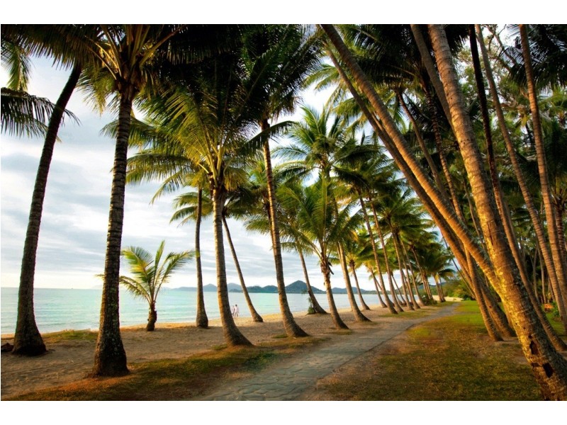 3/131 Williams Esplanade, Palm Cove QLD 4879