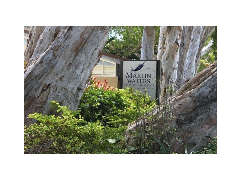 3/131 Williams Esplanade, Palm Cove QLD 4879