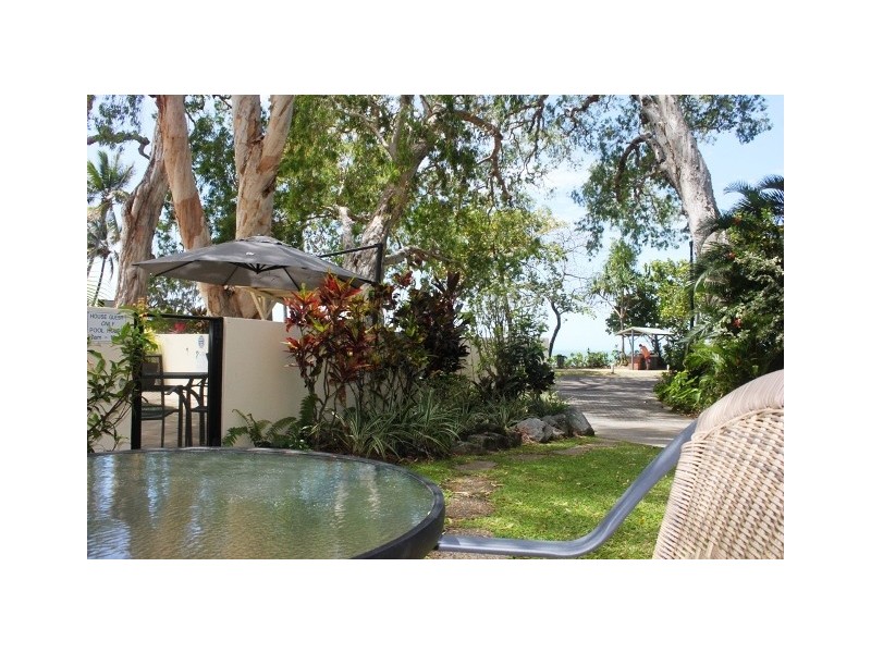 3/131 Williams Esplanade, Palm Cove QLD 4879