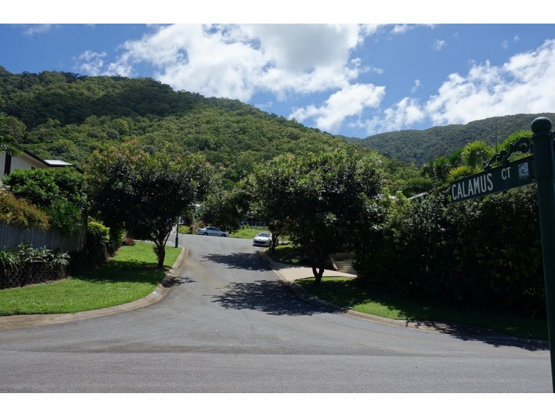 3 Calamus Court, Palm Cove QLD 4879