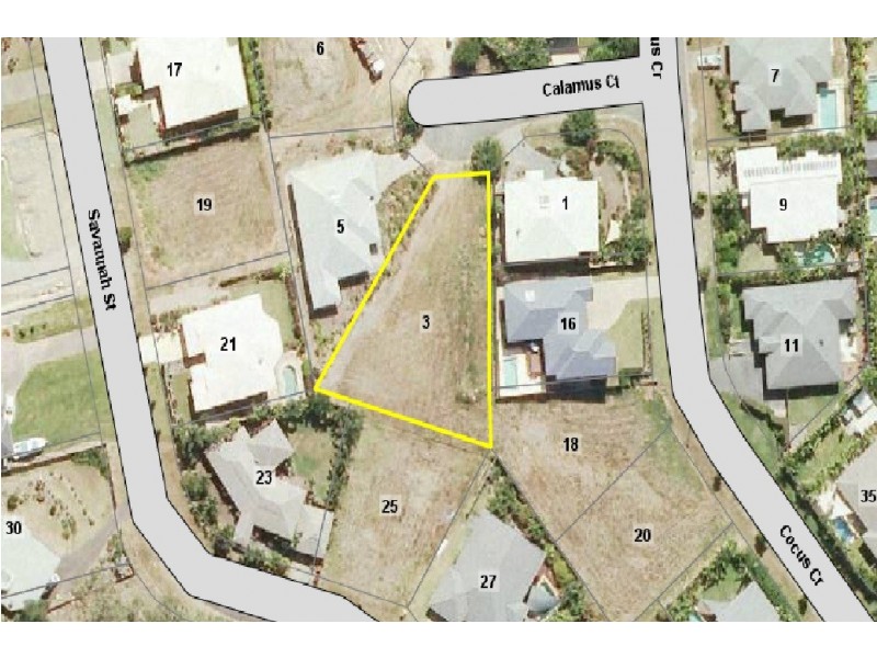 3 Calamus Court, Palm Cove QLD 4879