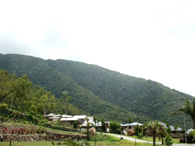 Palm Cove QLD 4879
