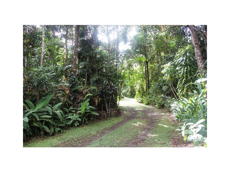 17 Gregory Terrace, Kuranda QLD 4881