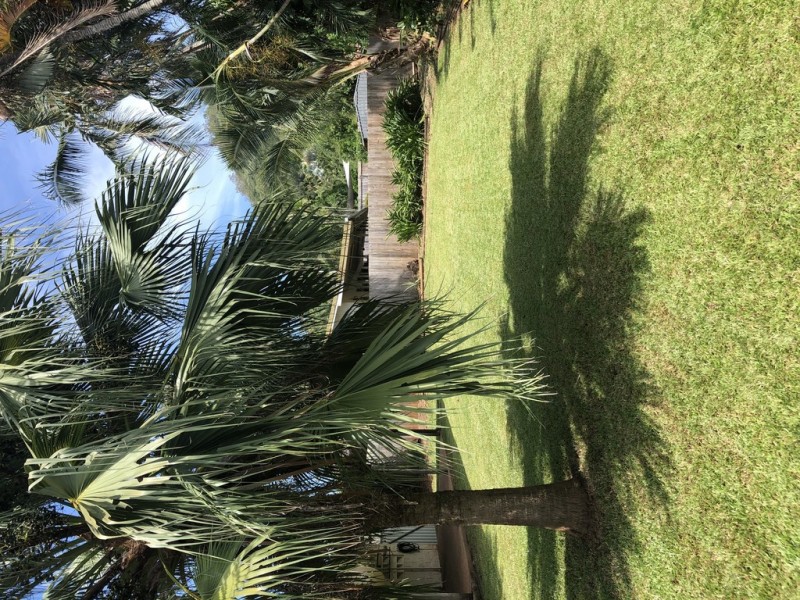 15 Kokopo Close, Trinity Beach QLD 4879