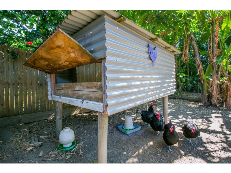 24 Madang Street, Trinity Beach QLD 4879