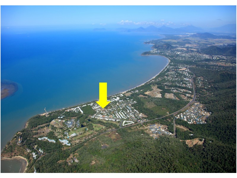 18 Trivia Street, Palm Cove QLD 4879