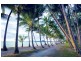18 Trivia Street, Palm Cove QLD 4879