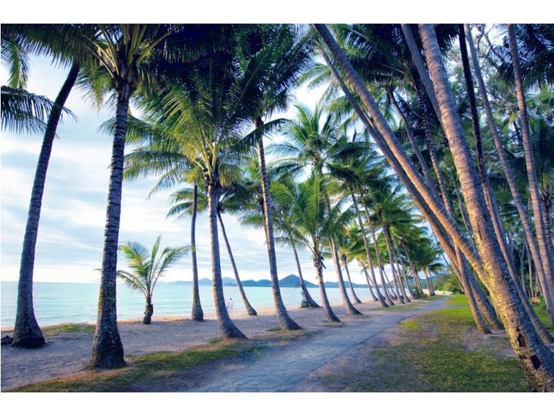 18 Trivia Street, Palm Cove QLD 4879