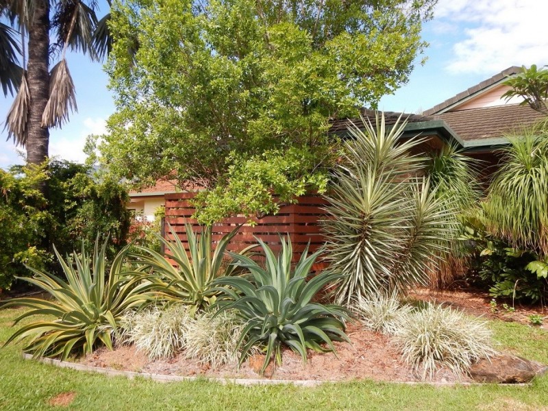11 Greenford Close, Brinsmead QLD 4870