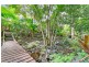 11 Sennfeld Close, Palm Cove QLD 4879