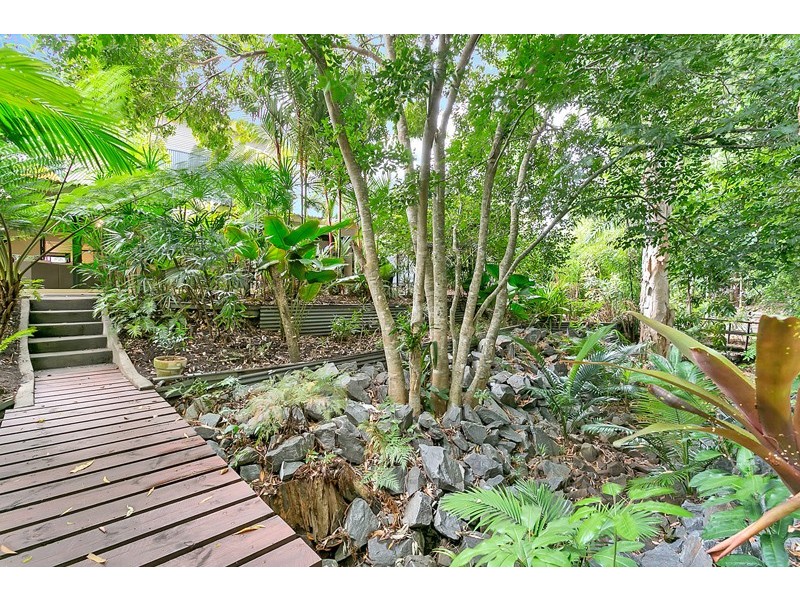11 Sennfeld Close, Palm Cove QLD 4879