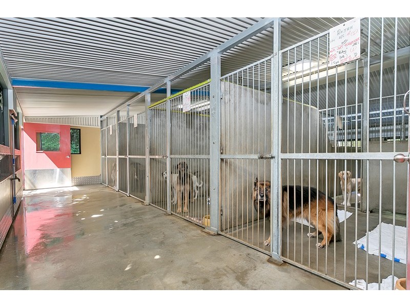 131 Boyles Road, Kuranda QLD 4881