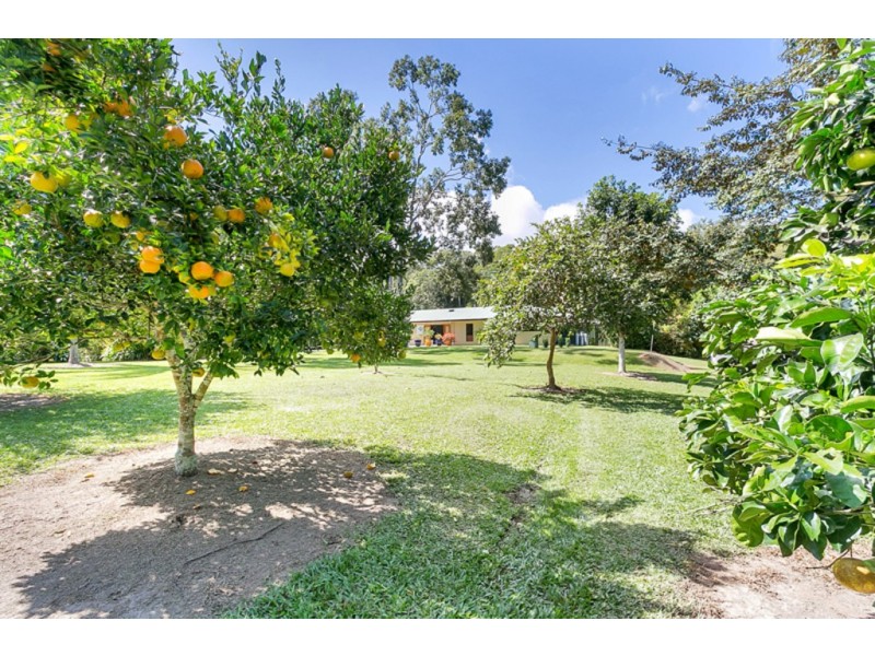 131 Boyles Road, Kuranda QLD 4881