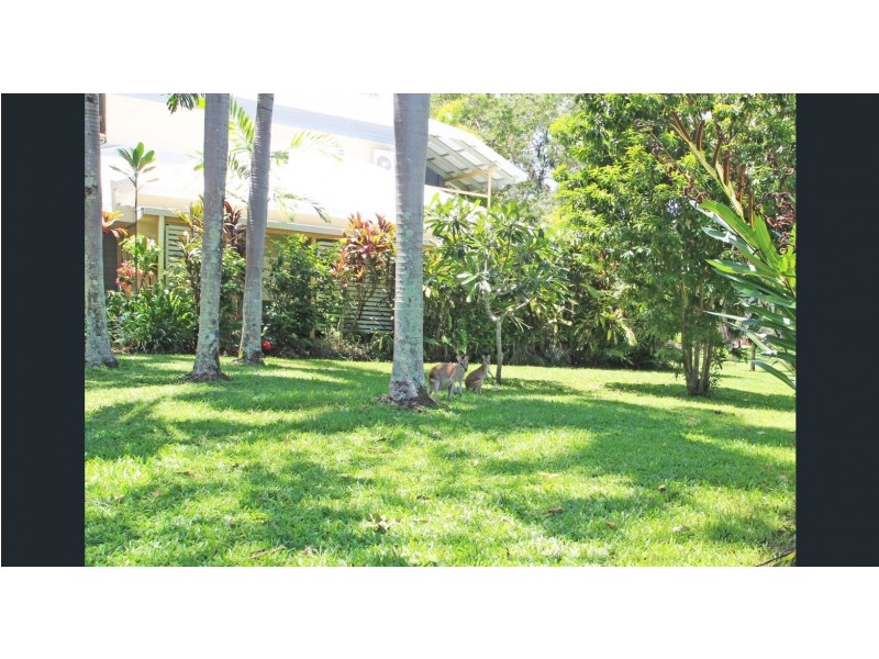 223/2 Keem Street, Trinity Beach QLD 4879