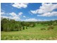 Barrine QLD 4872