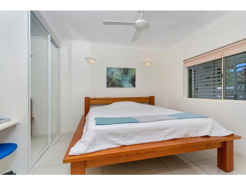 19 Trivia Street, Palm Cove QLD 4879