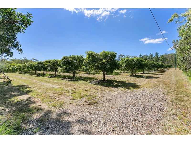 Koah QLD 4871