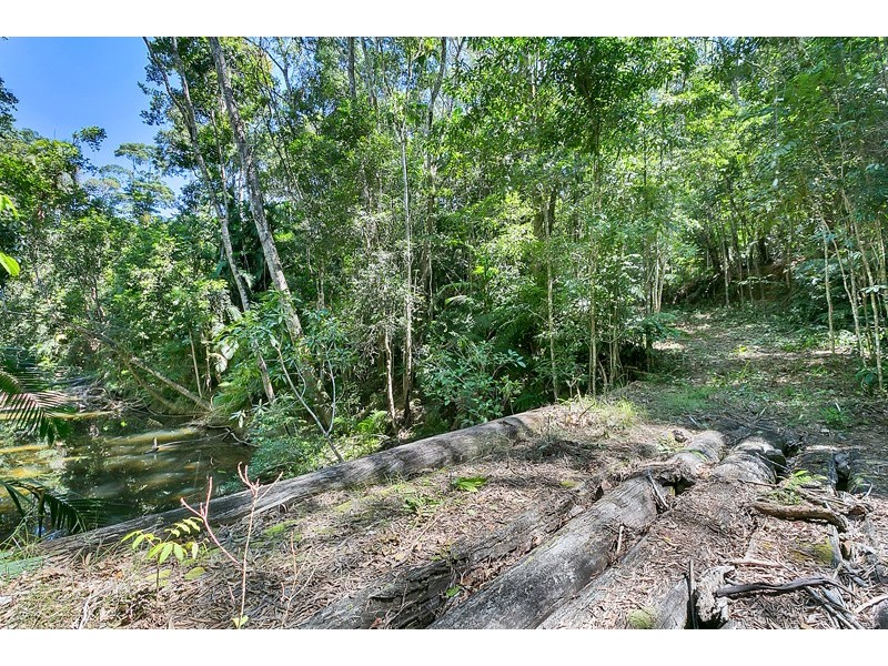 Lot 130 Black Mountain Road, Kuranda QLD 4881