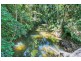 Lot 130 Black Mountain Road, Kuranda QLD 4881