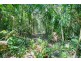 Lot 130 Black Mountain Road, Kuranda QLD 4881