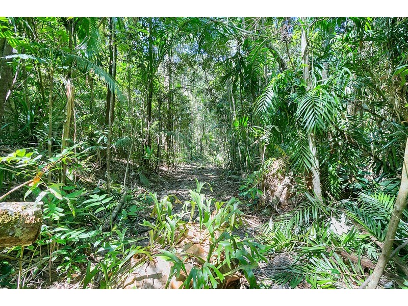 Lot 130 Black Mountain Road, Kuranda QLD 4881