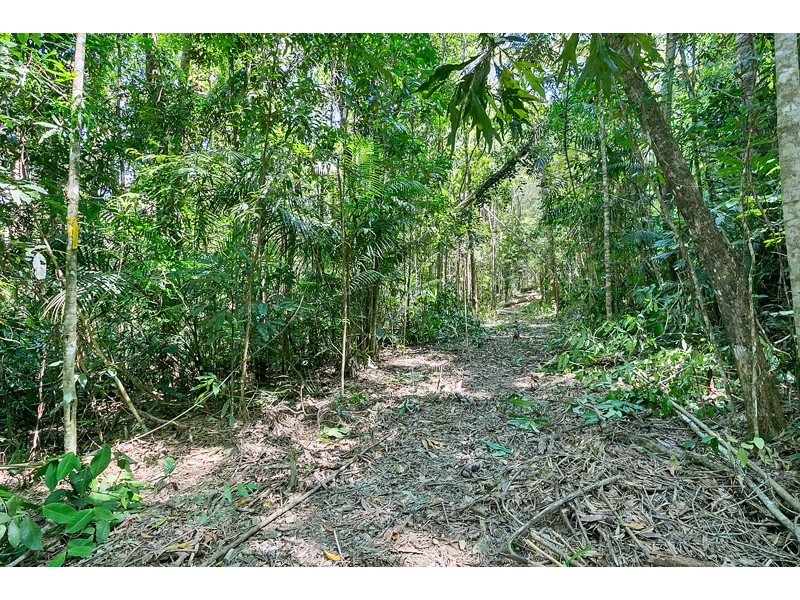 Lot 130 Black Mountain Road, Kuranda QLD 4881
