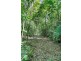 Lot 130 Black Mountain Road, Kuranda QLD 4881