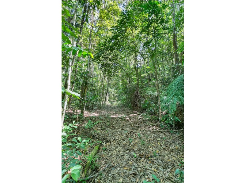 Lot 130 Black Mountain Road, Kuranda QLD 4881