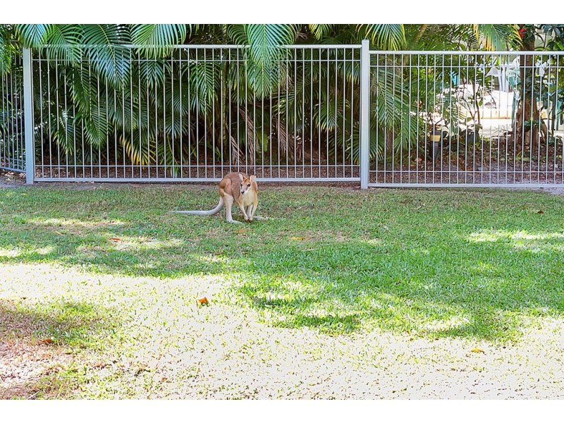 117/2 Keem Street, Trinity Beach QLD 4879