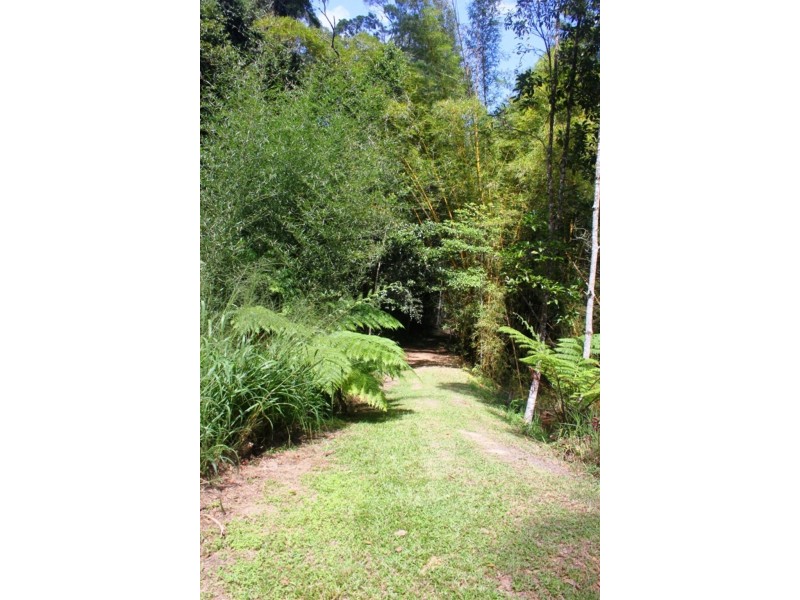 6 Fairyland Road, Kuranda QLD 4881