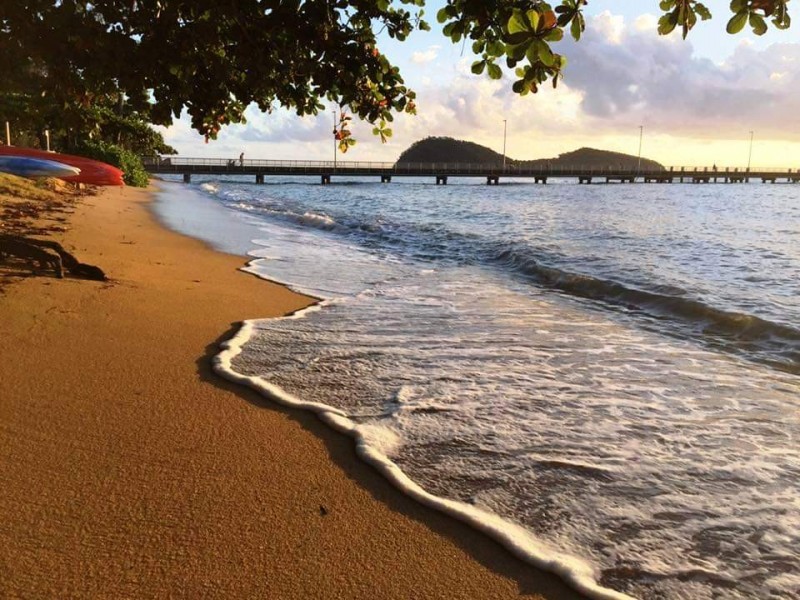 12 Michelia Street, Palm Cove QLD 4879