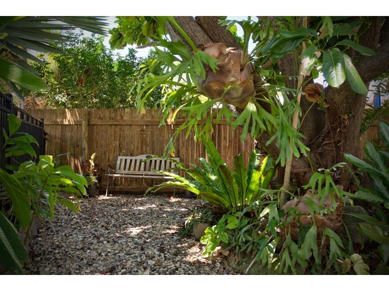 6 Volute Close, Trinity Beach QLD 4879