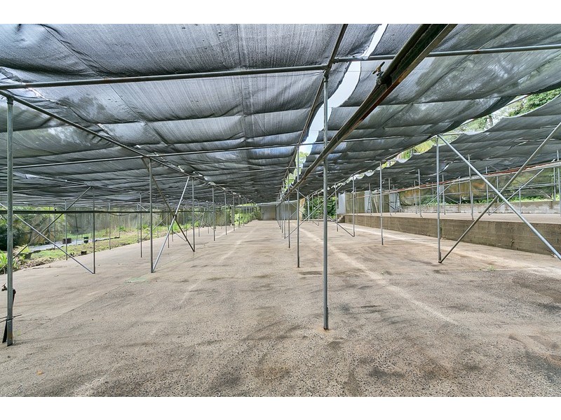 11 Jarawee Road, Kuranda QLD 4881