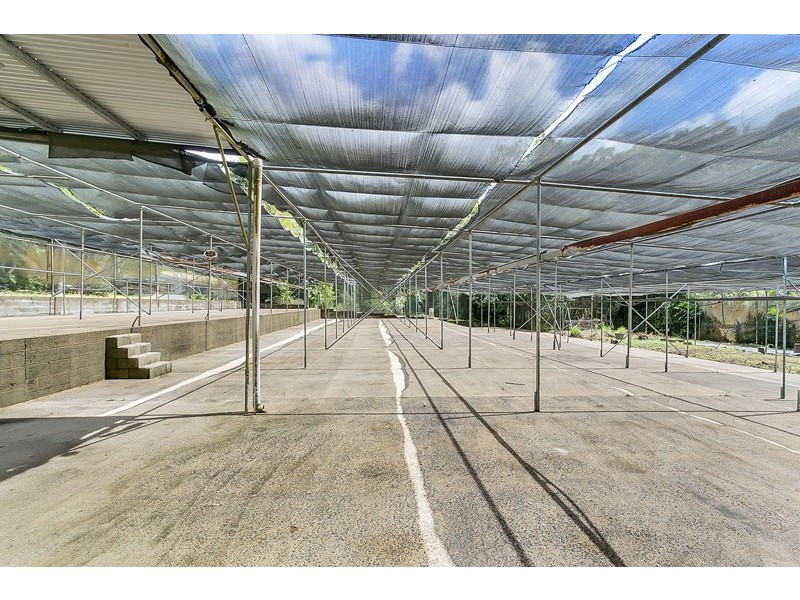 11 Jarawee Road, Kuranda QLD 4881