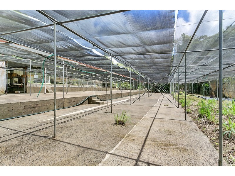 11 Jarawee Road, Kuranda QLD 4881