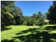11 Jarawee Road, Kuranda QLD 4881