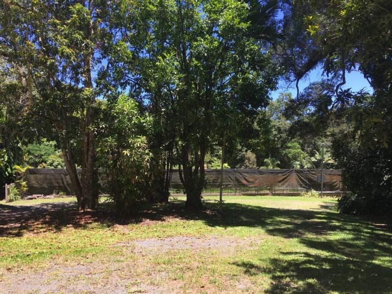 11 Jarawee Road, Kuranda QLD 4881