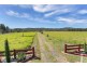 516 Koah Road, Koah QLD 4881
