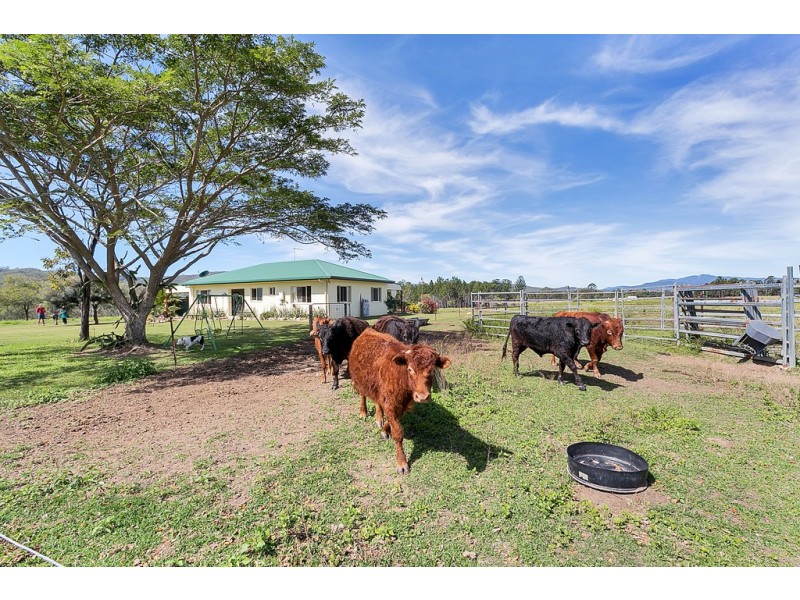 516 Koah Road, Koah QLD 4881