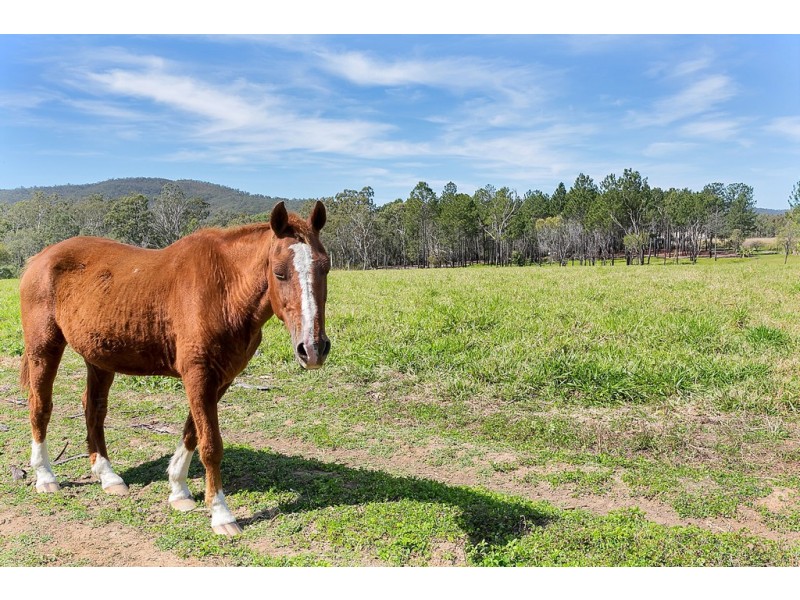 516 Koah Road, Koah QLD 4881