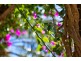 2-12 The Village Way, Palm Cove QLD 4879