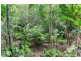 6 Jarawee Road, Kuranda QLD 4881