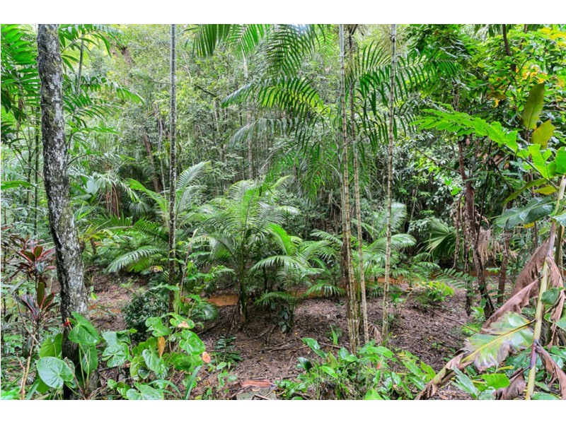 6 Jarawee Road, Kuranda QLD 4881