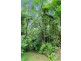 6 Jarawee Road, Kuranda QLD 4881