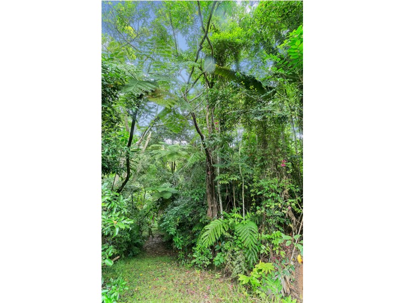 6 Jarawee Road, Kuranda QLD 4881