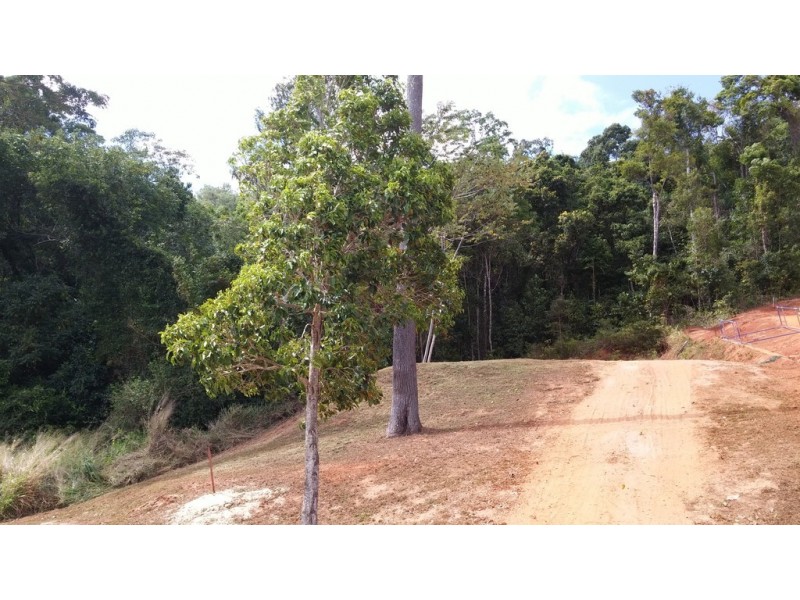 67 Leonards Access, Kewarra Beach QLD 4879